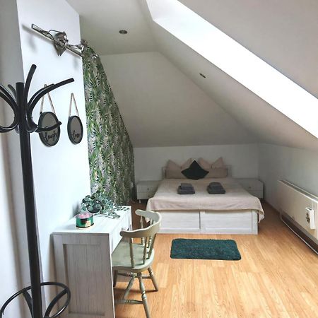 Brasov Cucu Residence エクステリア 写真